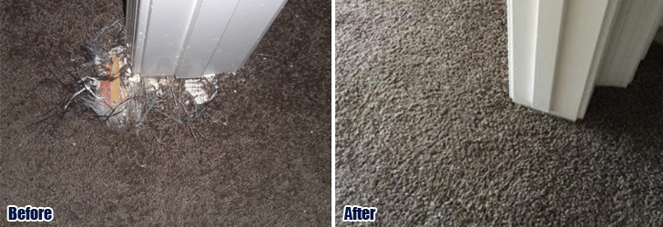 Pet Damaged Carpet Repair Calabasas CA